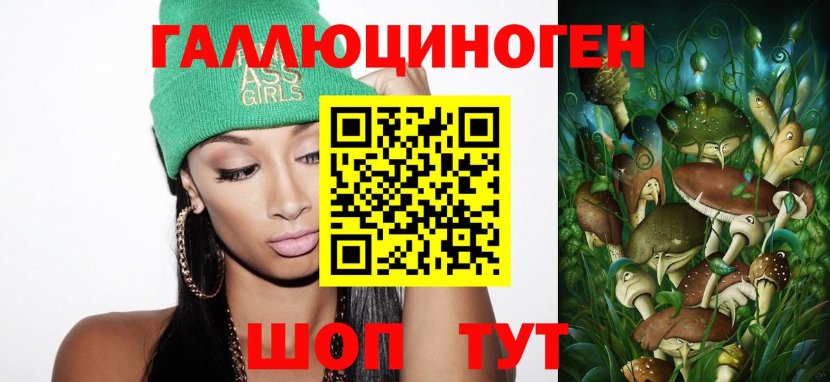 Псилоцибиновые грибы Psilocybe Альметьевск